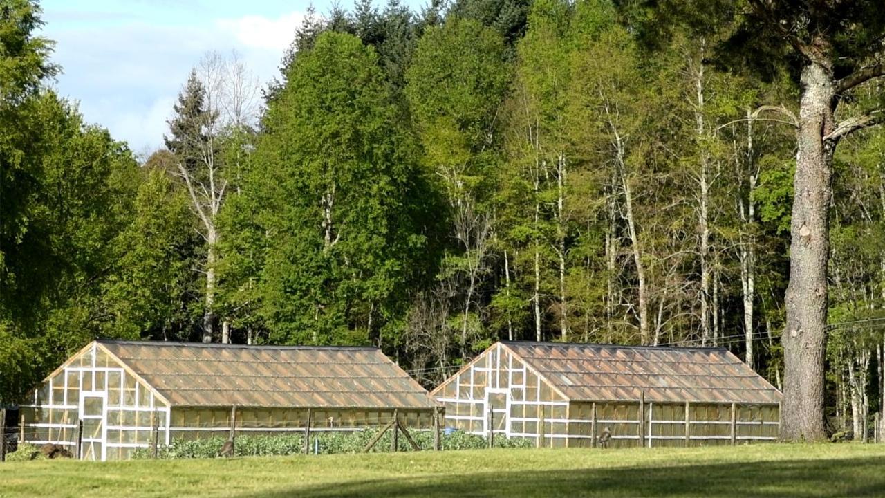 Das Dorf Hotel Пукон Екстер'єр фото